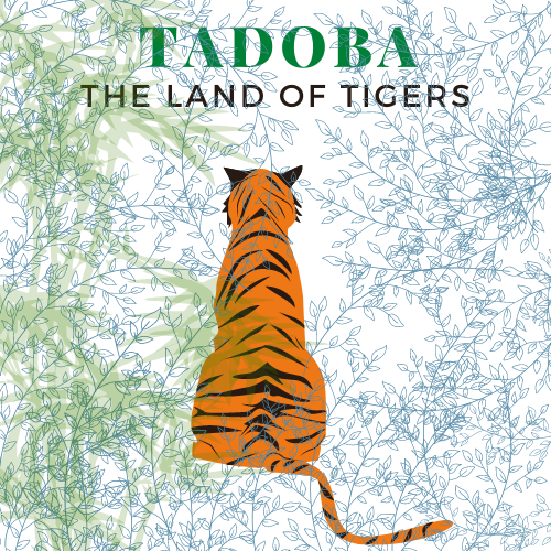 My Tadoba